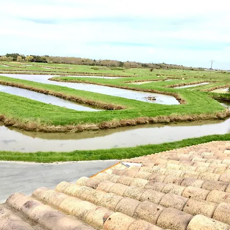 아파트 La Terrasse Des Marais Dolus d'Oléron