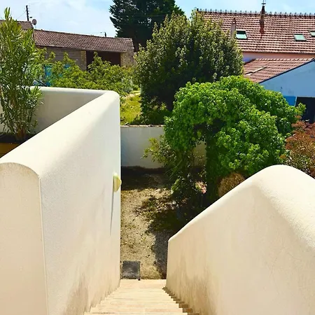La Terrasse Des Marais